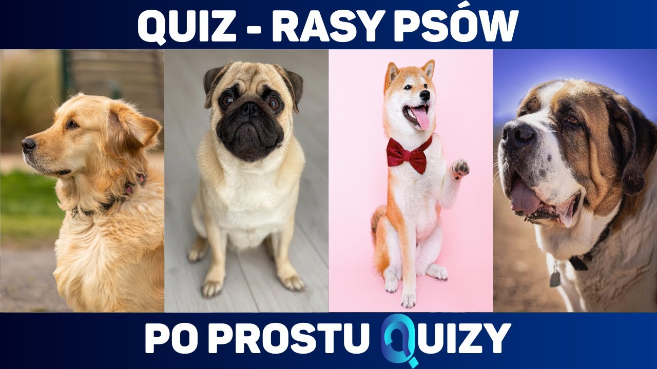 Quiz - Jaka to rasa psa?