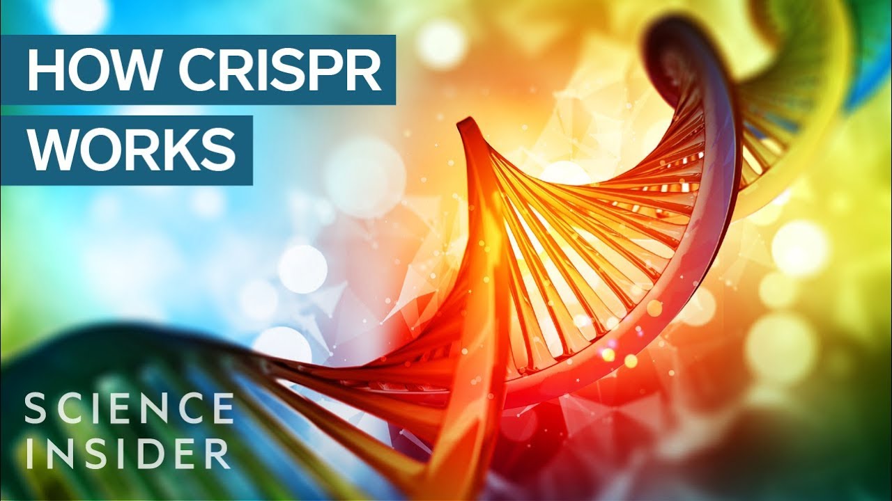 CRISPR DNA Editing System In 90 Seconds