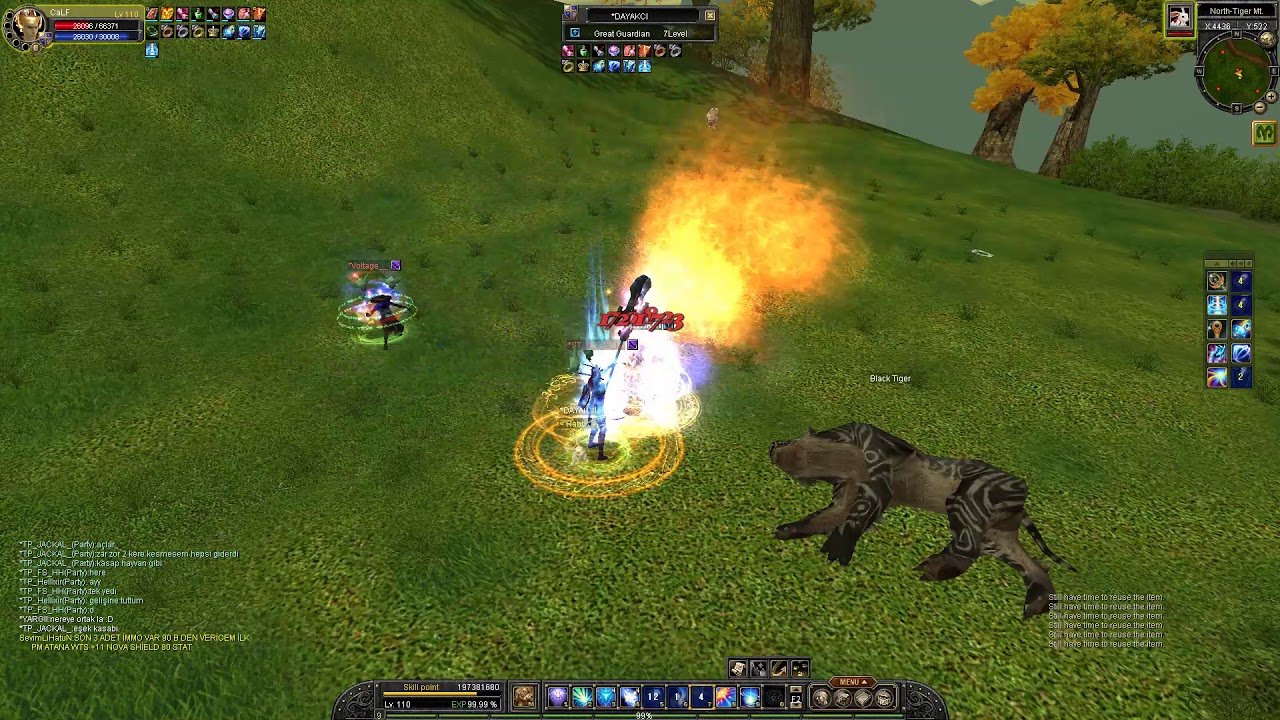 DAYAKCI vs mixed Thiefs
