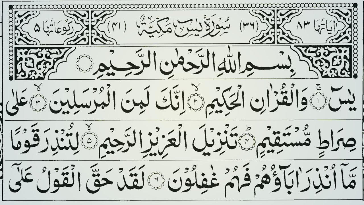 Surah Yaseen Beautiful Tilawat With Arabic Text📖 Surah Ar-Rahman | Surah Mulk | Ayatul Kursi Vol.774