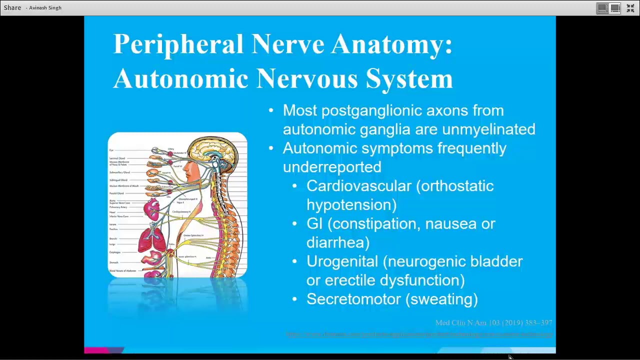 Living Well With Neuropathy: Evolving Evaluation and Management of a Painful Condition