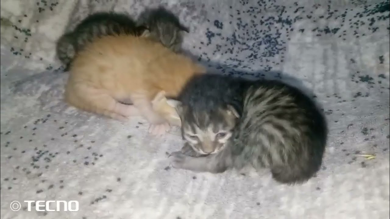 New baby will be grown up soon 