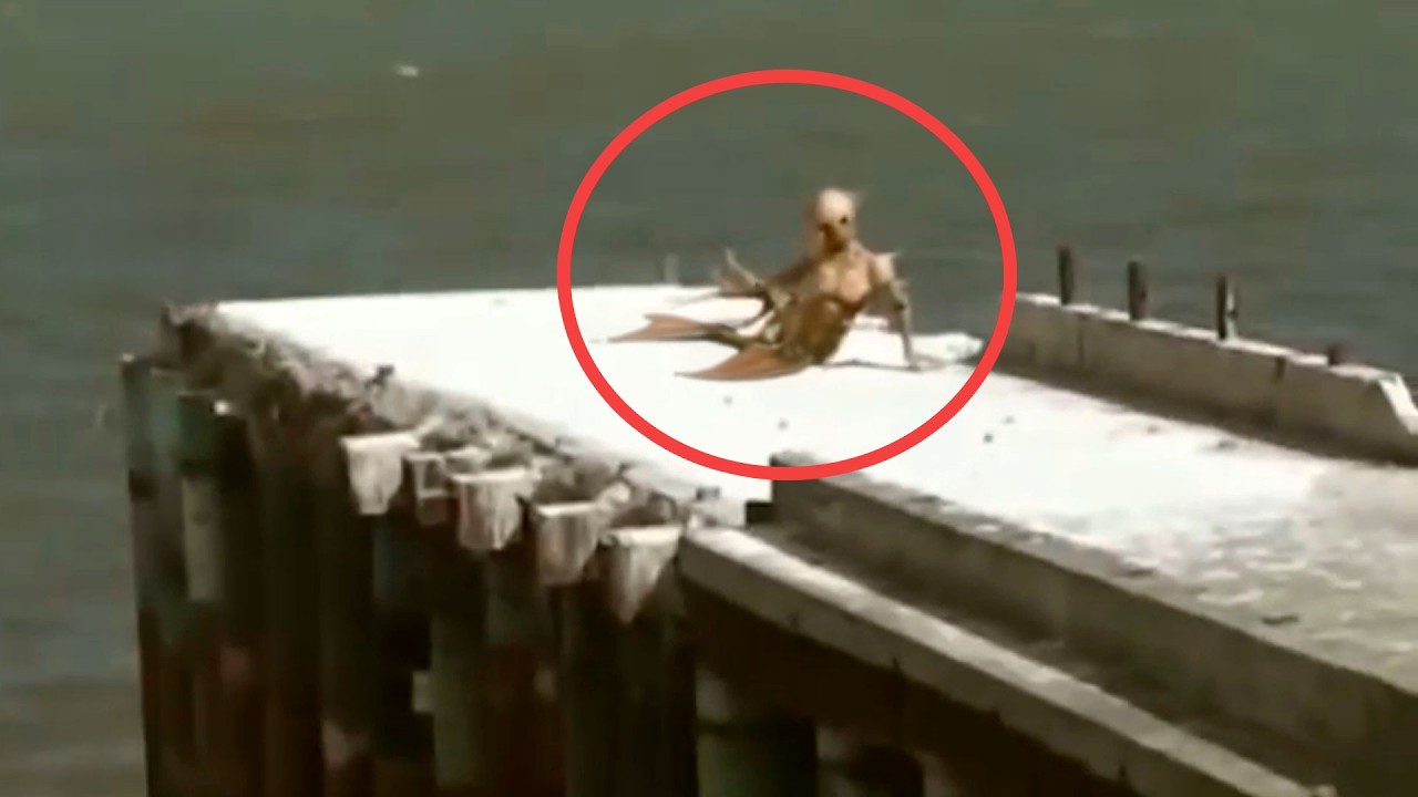 5 Sirenas Captadas ACCIDENTALMENTE en Cámara (¡Reales!)