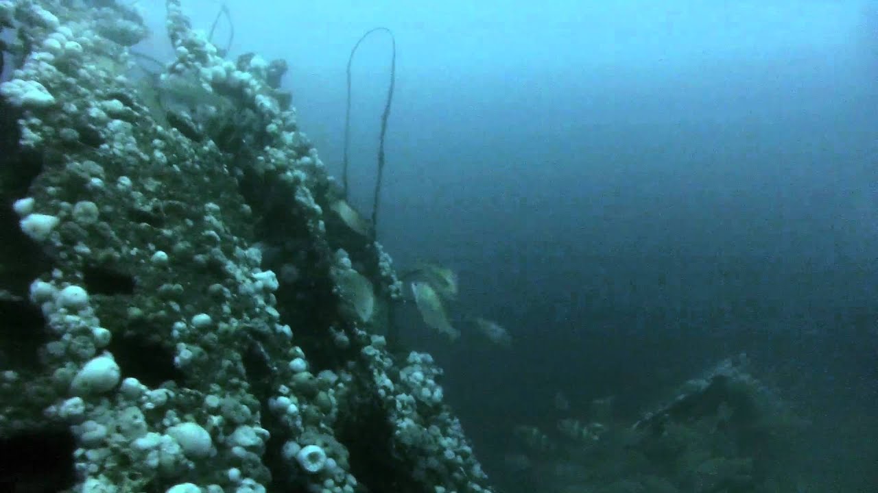 A dive on HMS Untiring
