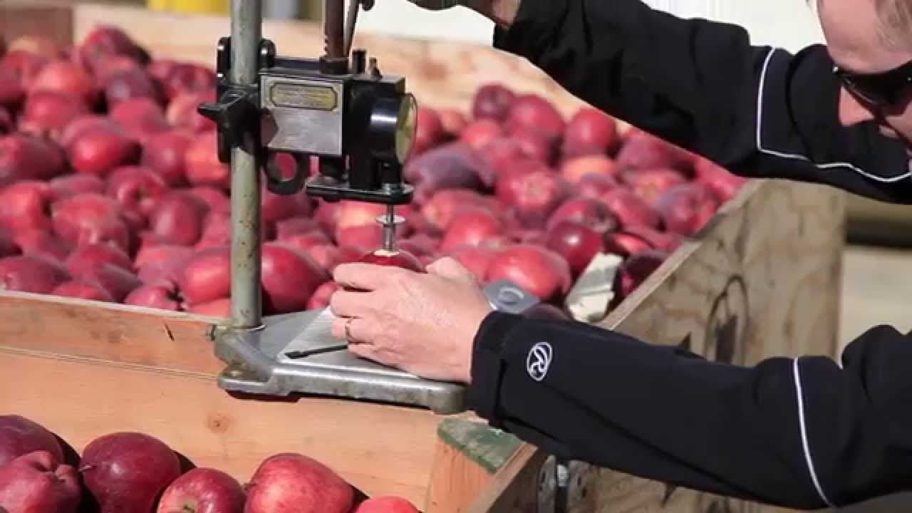 How to Test Apple Pressure