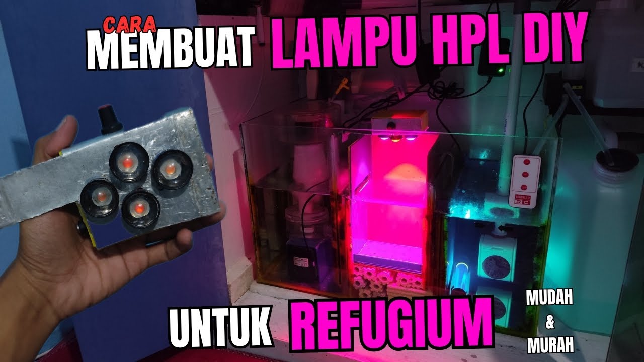 CARA MEMBUAT LAMPU REFUGIUM DIY UNTUK AQUARIUM LAUT | REEF TANK