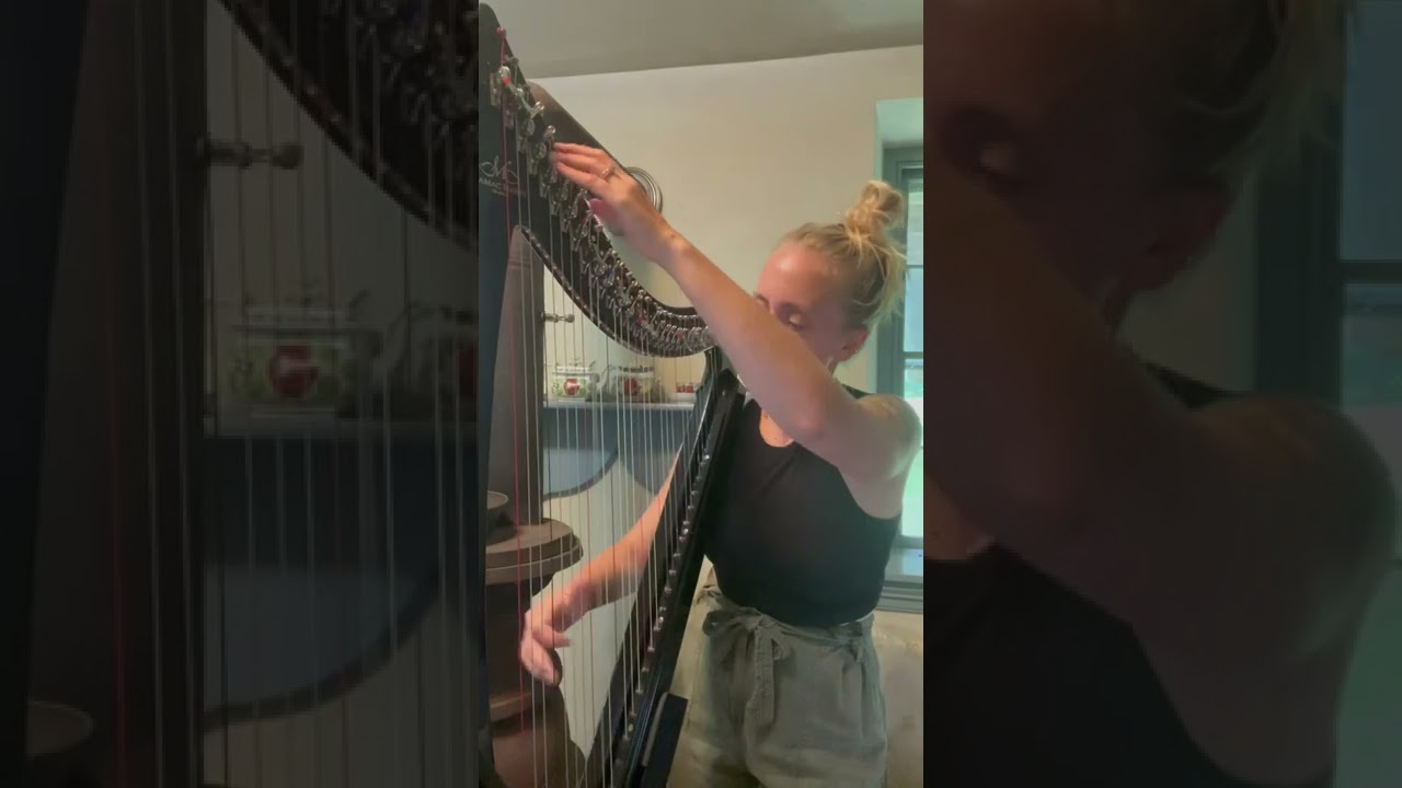 Master of Puppets - Metallica Electric Harp Cover