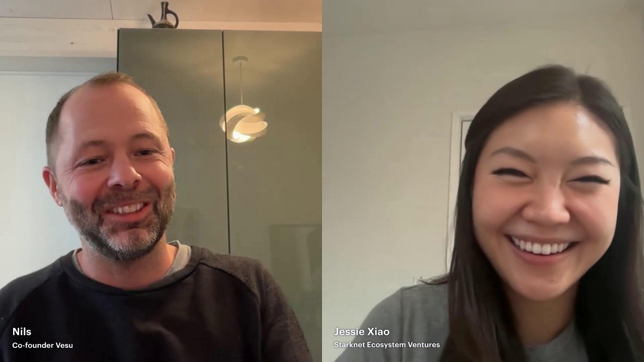 Dive into Vesu: Who Controls Lending? No One.