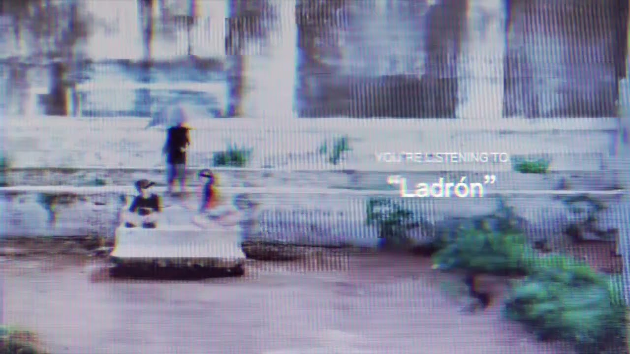 Família Gonçalves - Ladrón (Audio)