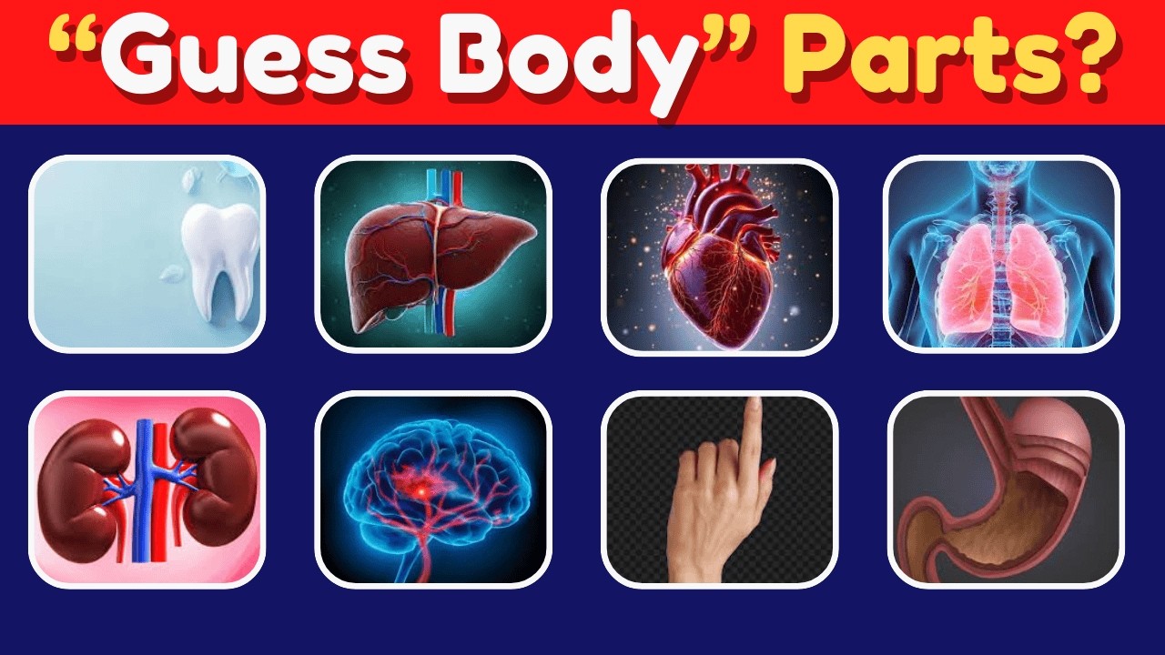 Guess the Body Part 🧠Can You Name This Body Part?Human Body Quiz in 5 Seconds ⏱️