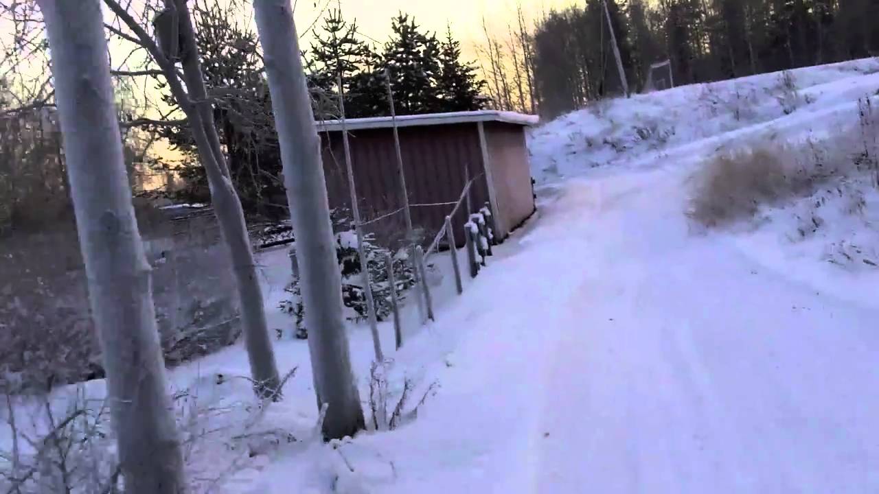 Aktiv Grizzly åktur hemma