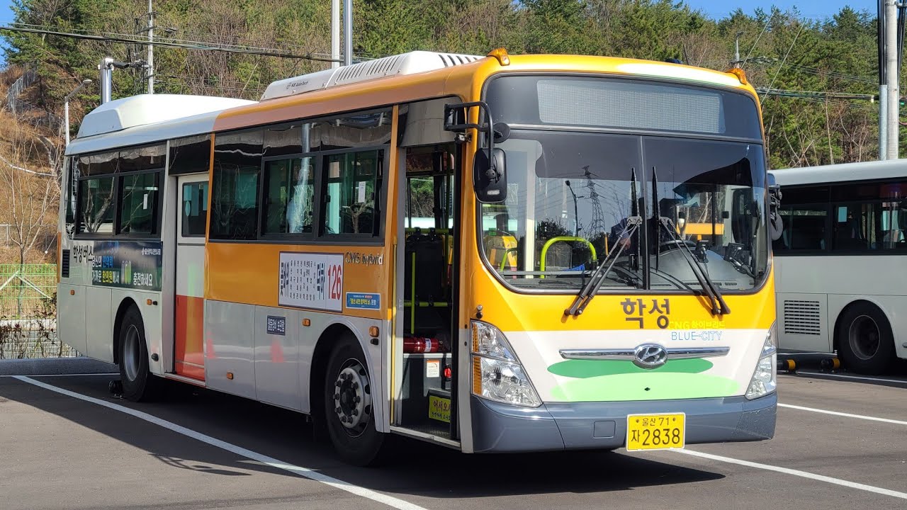 [울산] 학성버스126번 17년식 현대 블루시티cng 하이브리드 고상형 [1080p]