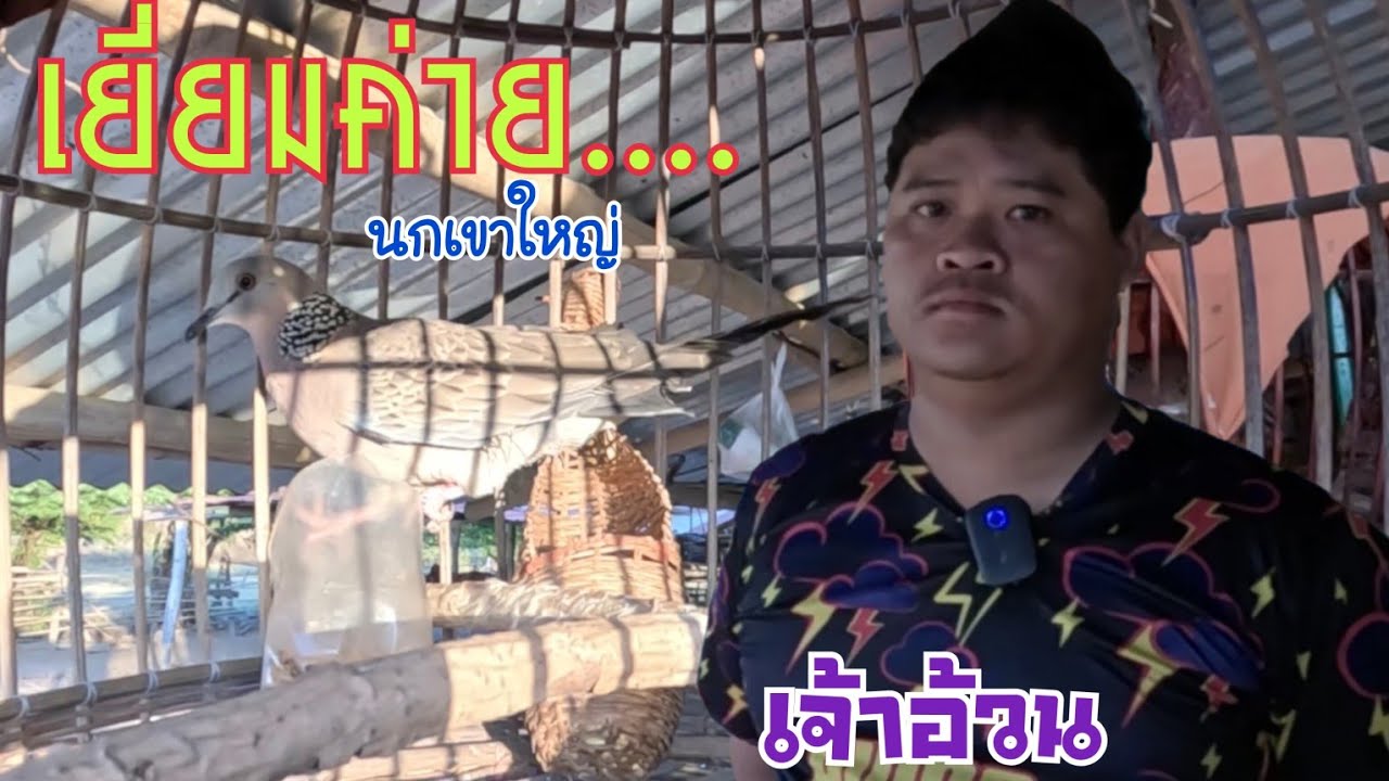 เยี่ยมค่ายนกเขาใหญ่ เซียนอ้วน