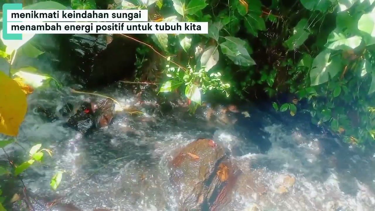 Dari Gemericik Kecil Hingga Sungai Besar, Alam Mengajarkan Ketenangan.#relaxing 
