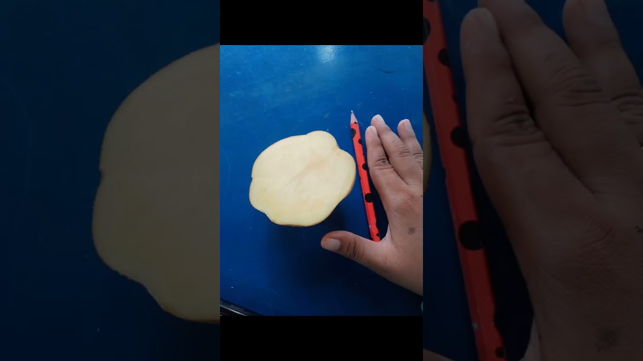 Cara membuat stempel dari kentang atau ketela fase B kelas IV
