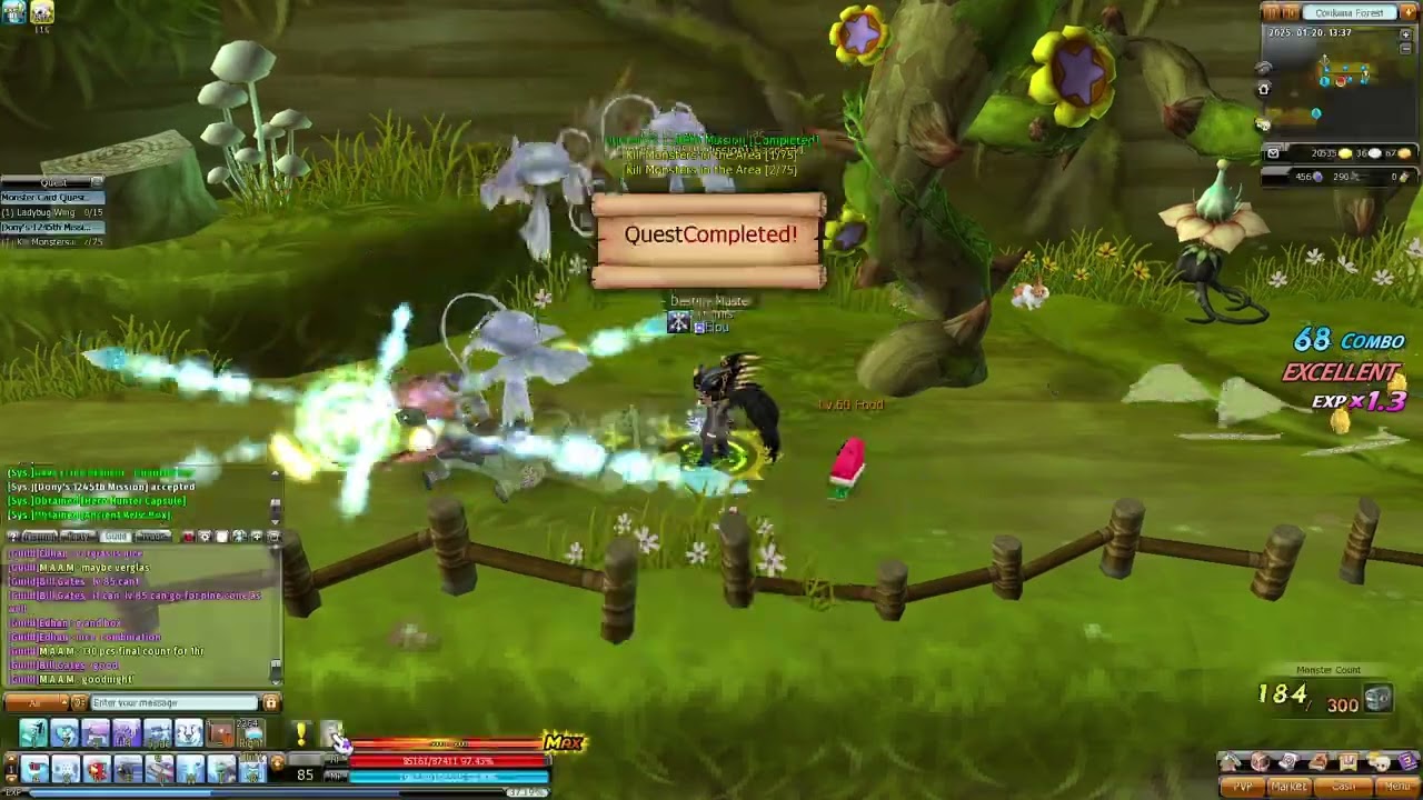 Dragon Saga Sorcerer Daily Quest - Elou