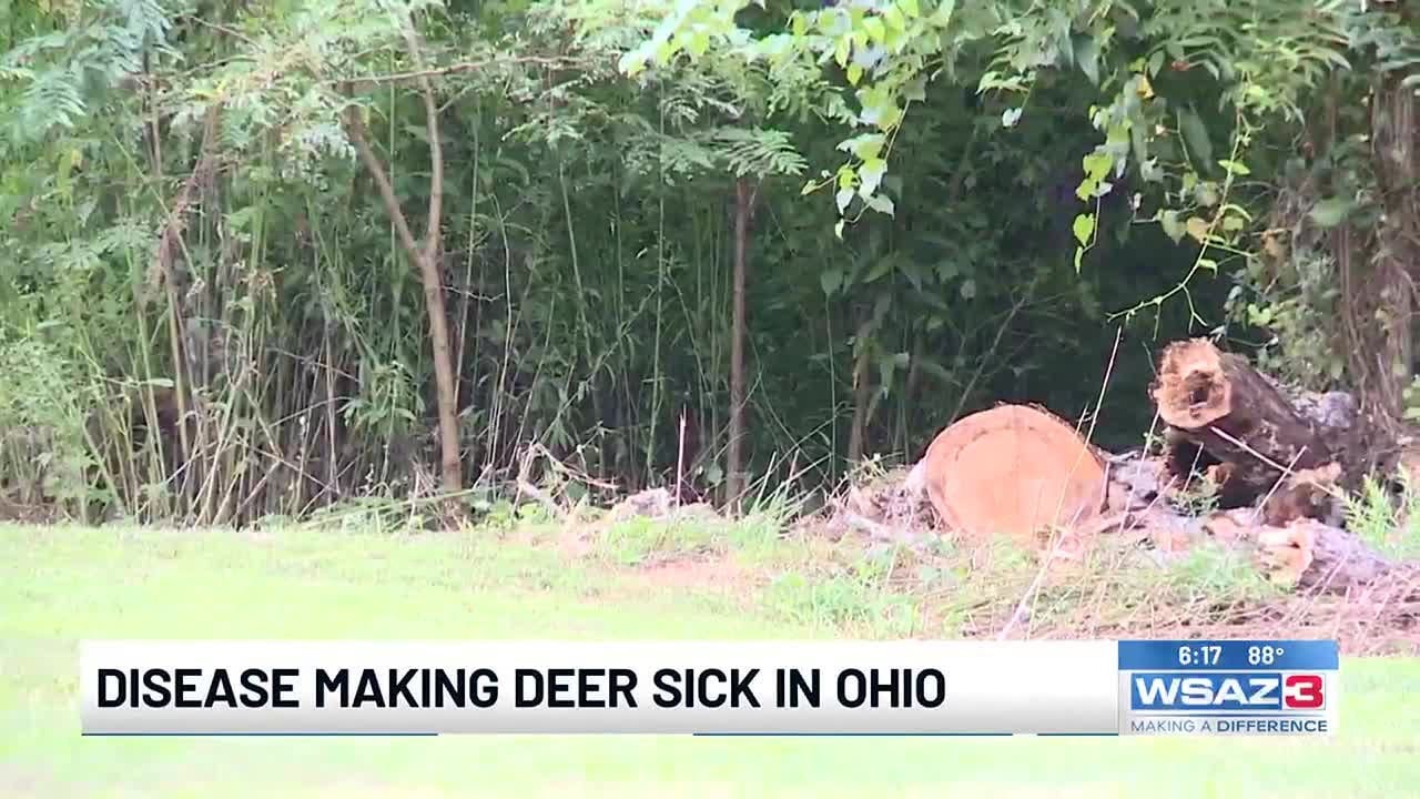Disease making deer sick in Ohio