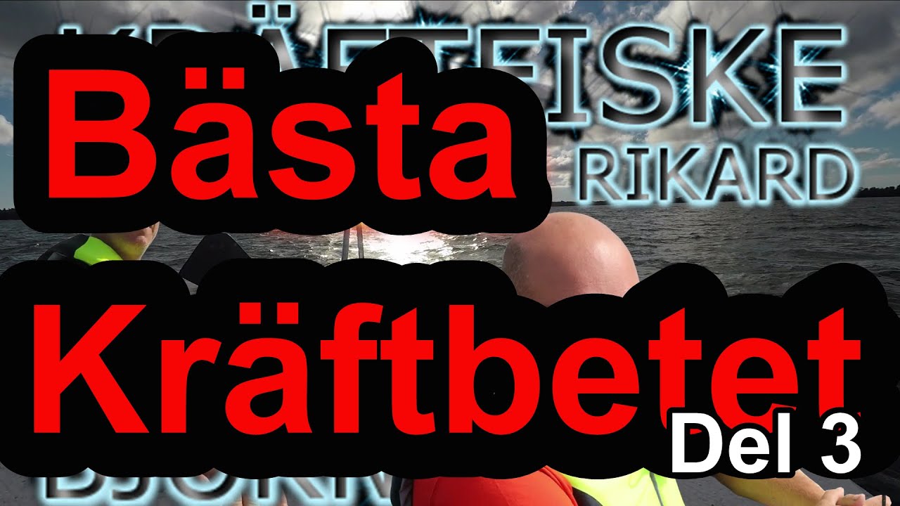 FÅGEL, FISK ELLER MITTIMELLAN? - Bästa kräftbetet 2021