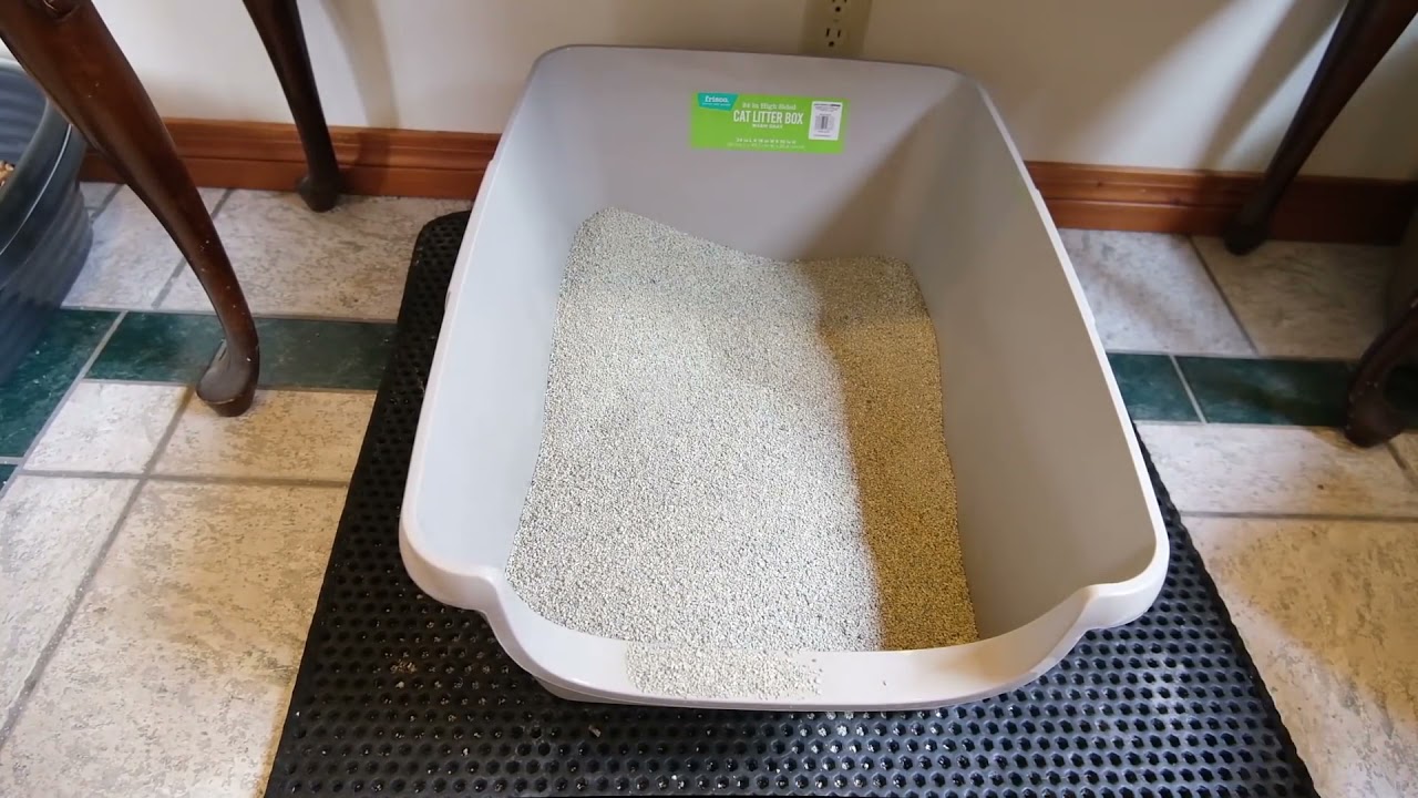Frisco Jumbo High Sided Litter Box Review (We Tried It)