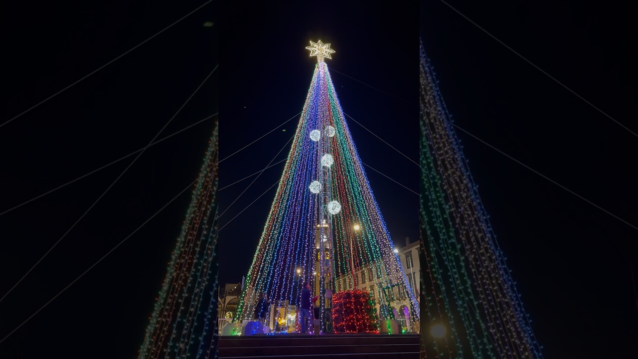 Christmas Tree 🎄 Ponta Delgada, Sao Miguel Azores Portugal 🇵🇹 21.11.2025