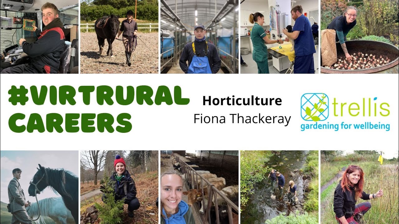 Horticulture - Fiona Thackeray, Trellis