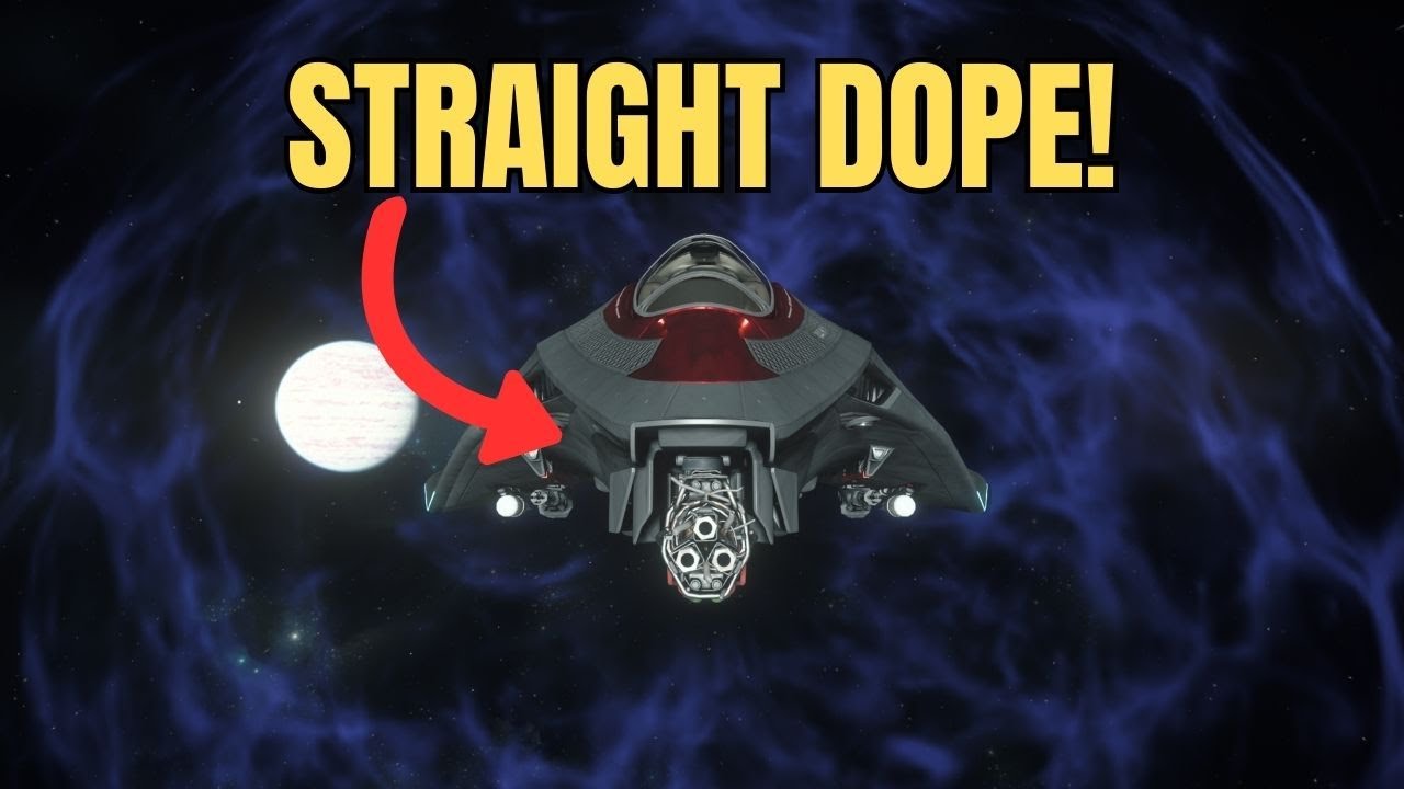 Should you be flying the Aegis Avenger Warlock? | Star Citizen