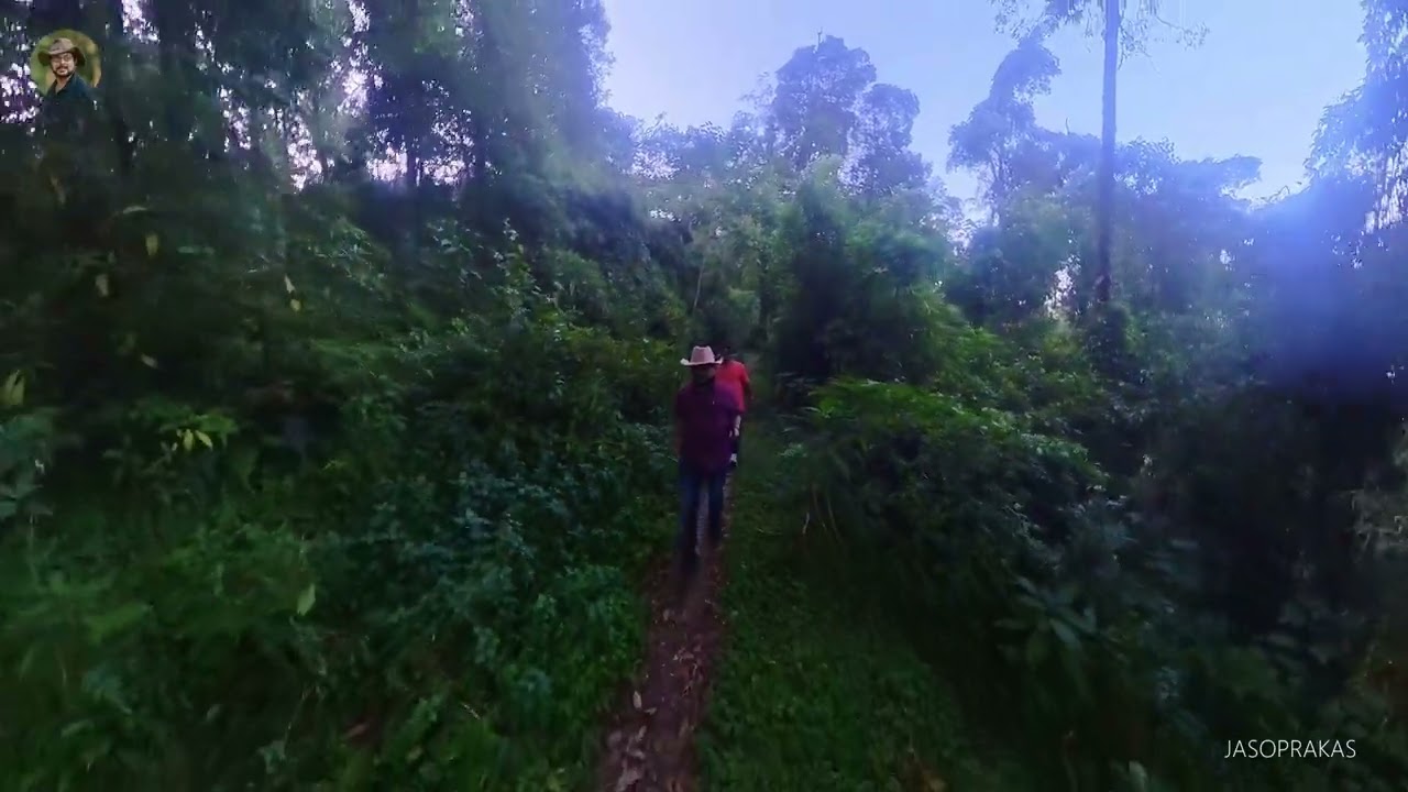 Lolegaon Canopy Walk