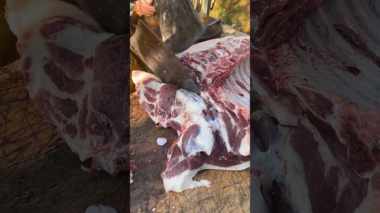 Key differences between wild boar and domestic pig cutting.
