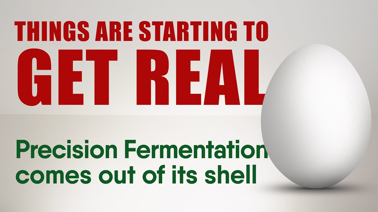 Precision Fermentation: Things are Starting to Get Real!