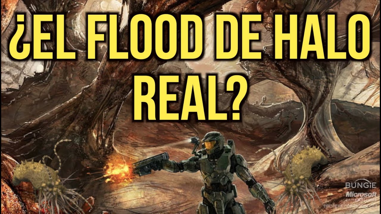 ¿Y si el FLOOD llega a la TIERRA HOY? (Halo)