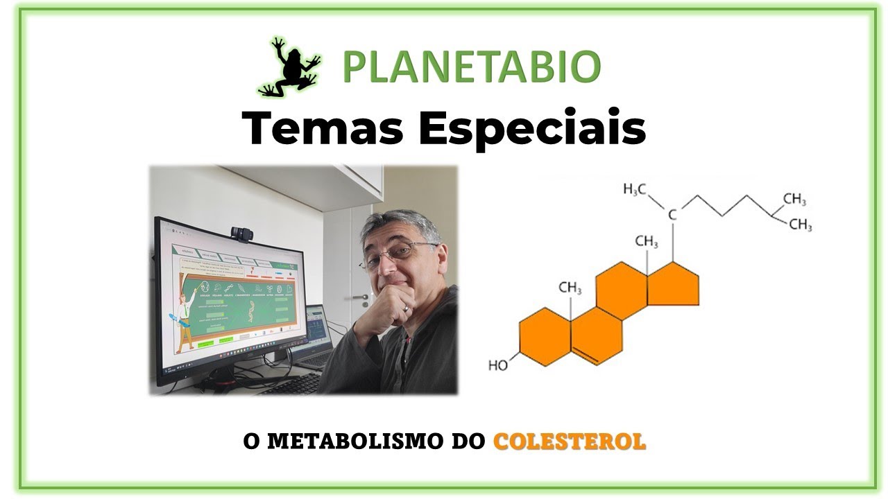 O Metabolismo do Colesterol no Corpo Humano
