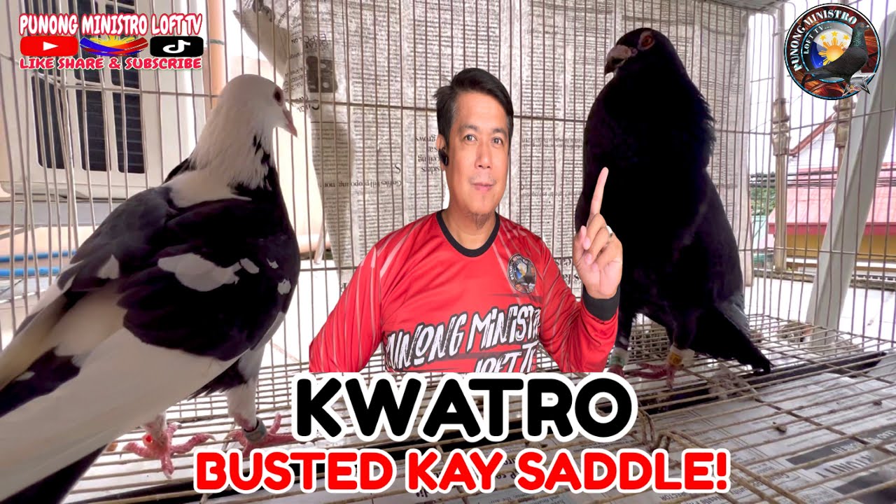 EP1066 - MATINDENG BARAKO NI KWATRO BUSTED KAY SADDLE CRACK 52!