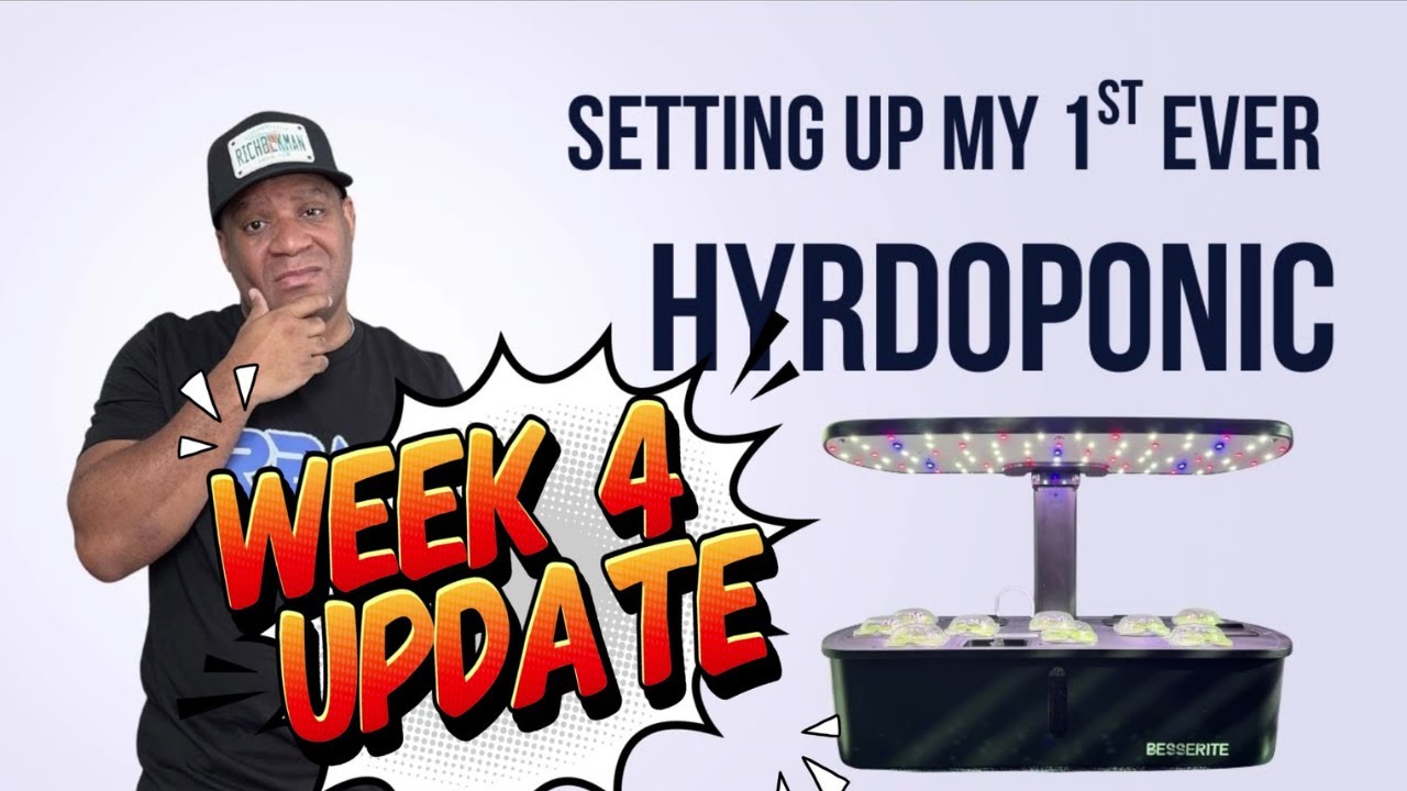 You Won't Believe Week 4! First Flowers, Harvest Time & Insane Root Development