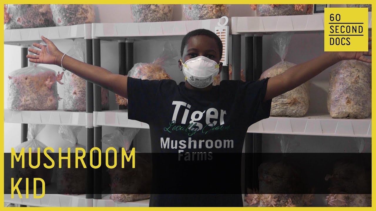 Mushroom Kid // 60 Second Docs