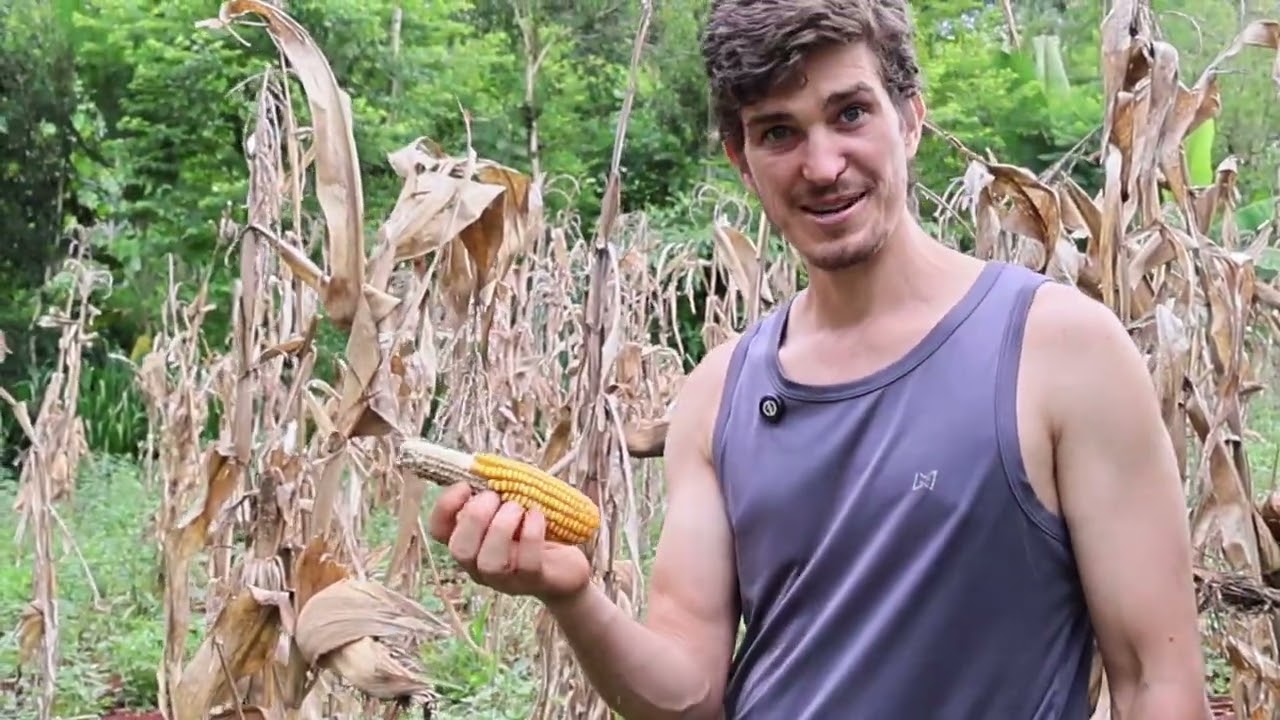 🌱 Cultivando Saberes e Expandindo Mundos II: produzindo seu próprio alimento