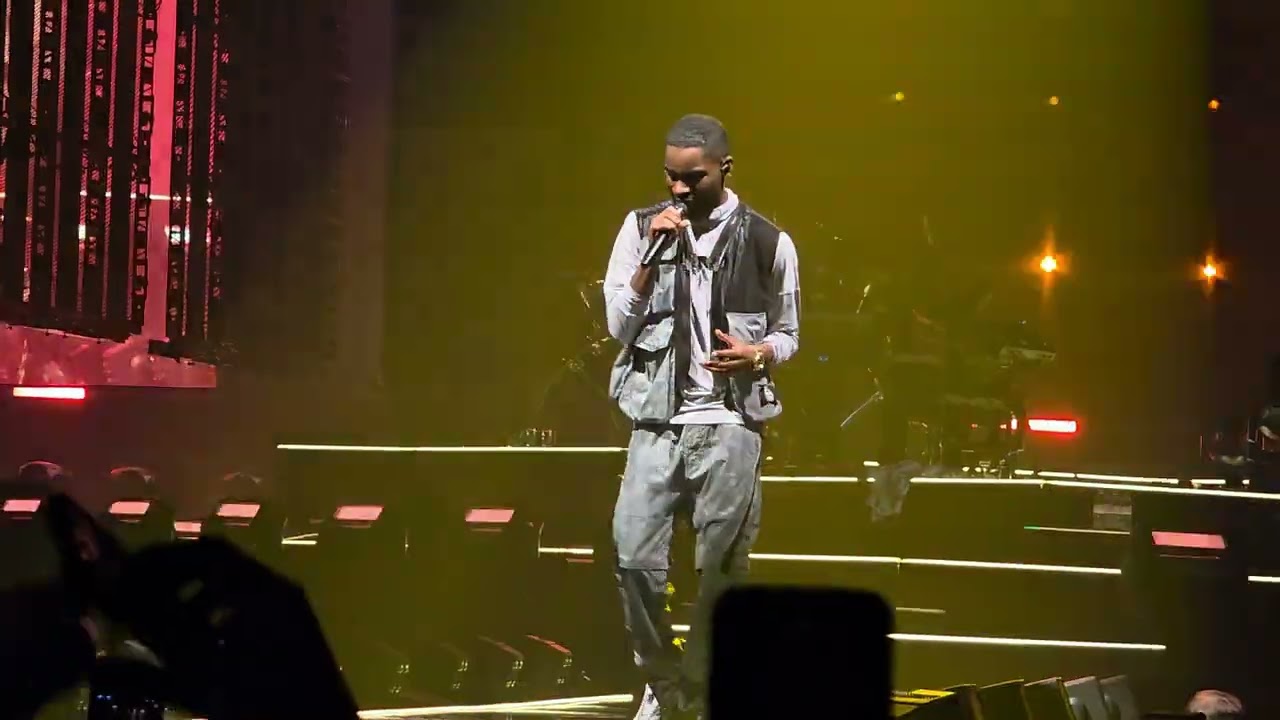 Dave - Sprinter Live @Ing Arena Brussels - The boy who played the harp tour 