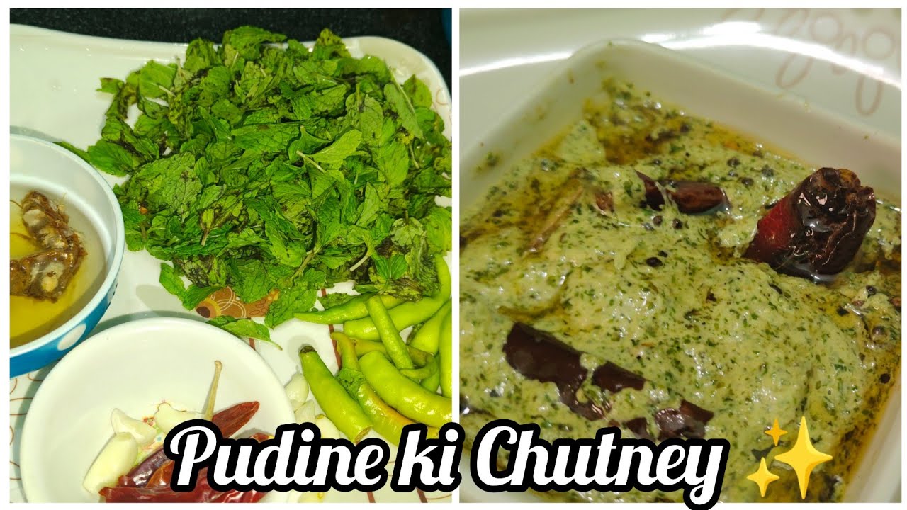 Hyderabadi Style Pudine ki Chutney#Nani maa Style Pudine ki chutney #Ronak Jahan Vlogs✨