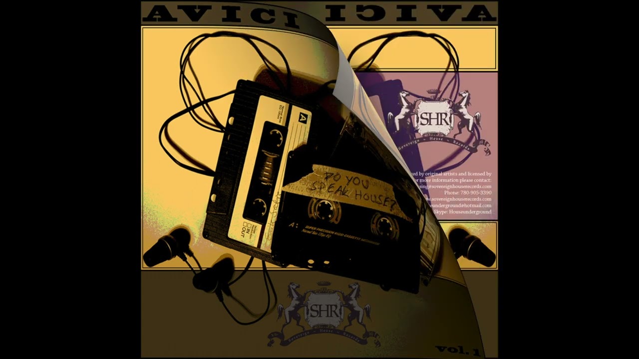 Avici - Do You Speak House?