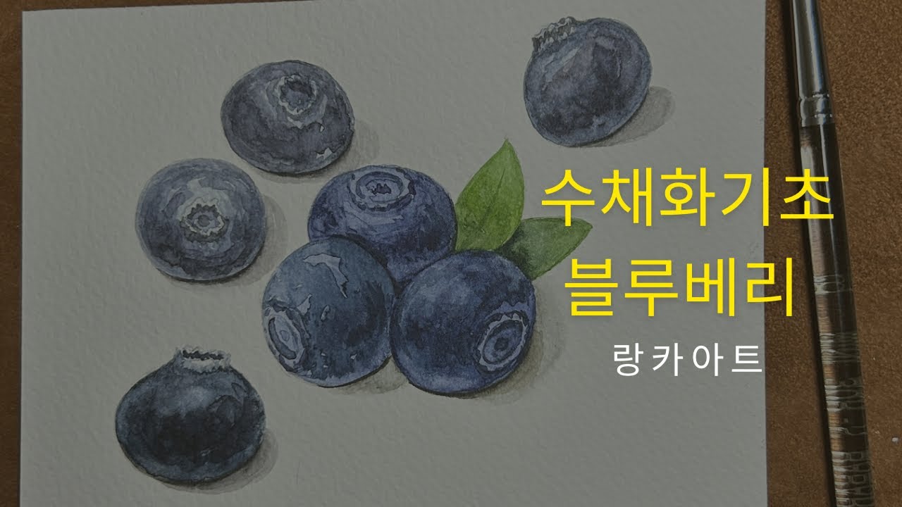 수채화 기초 블루베리 그리기