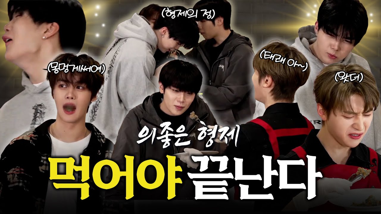 [ZB1] 의좋은 형제 | 먹어야 끝난다 | 최악과 위기의 민초치킨 | 제베원 석매튜, 김태래, 김규빈, 박건욱 | 매일 튜기는 치킨집 라이브 요약본