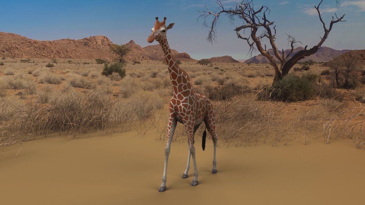 Giraffe Walk Cycle Animation