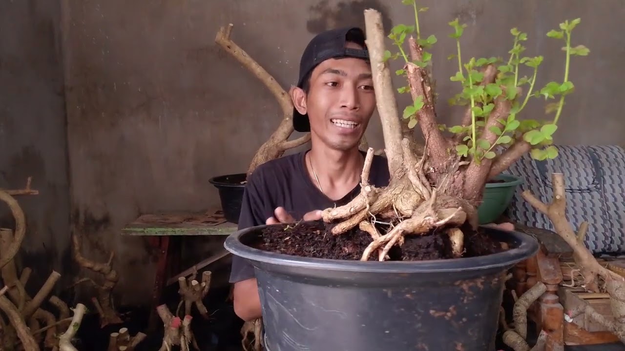 Cuci gudang bahan Sancang. Satset boss WA.082336563192 bisa langsung ke admin saja boss.