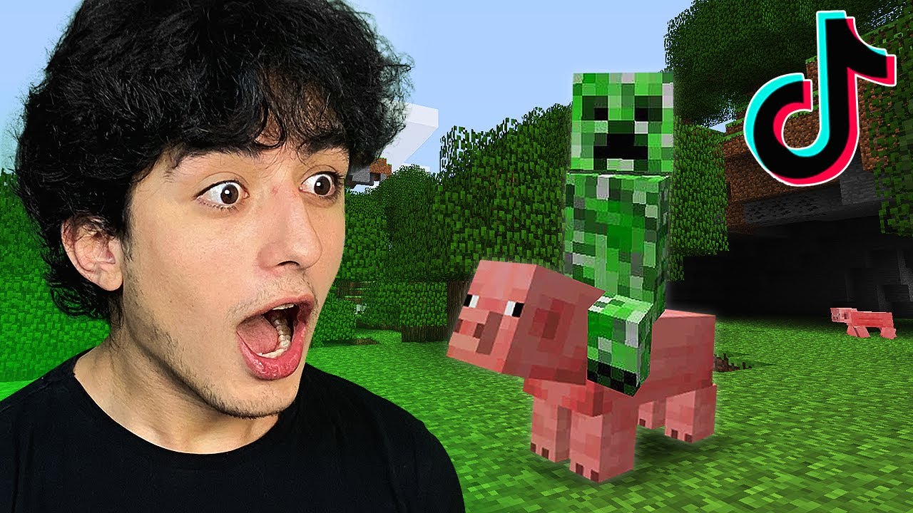 VİRAL MİNECRAFT TİKTOK HİLELERİNİ DENEDİM !