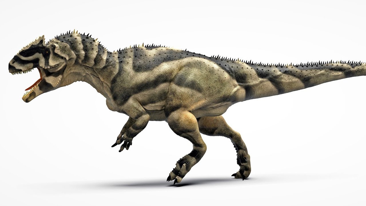 Saurophaganax - Lord of the Lizard-Eaters