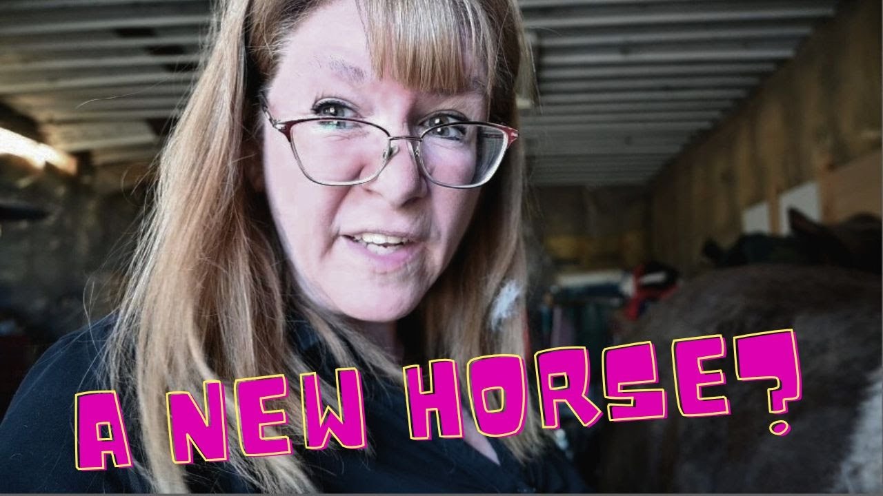 BUYING Gabby A New HORSE!
