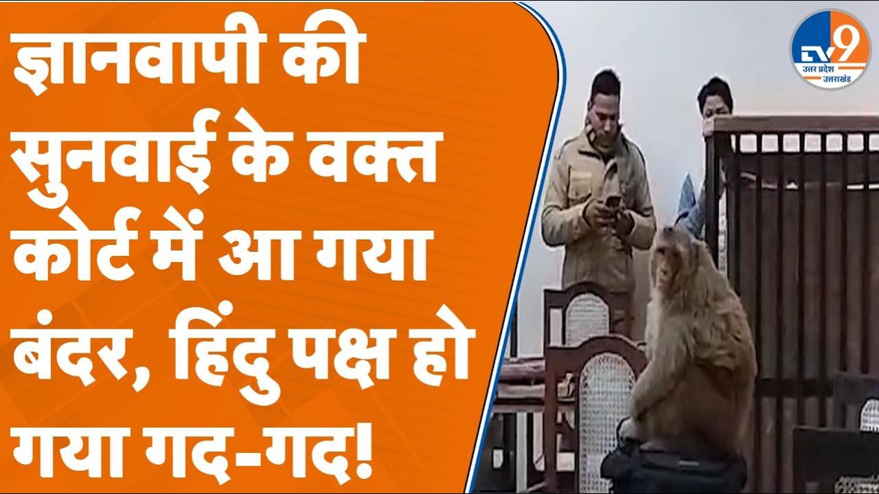 Varanasi: ज्ञानवापी की सुनवाई के वक्त कोर्ट में आ गया बंदर, हिंदु पक्ष हो गया गद-गद