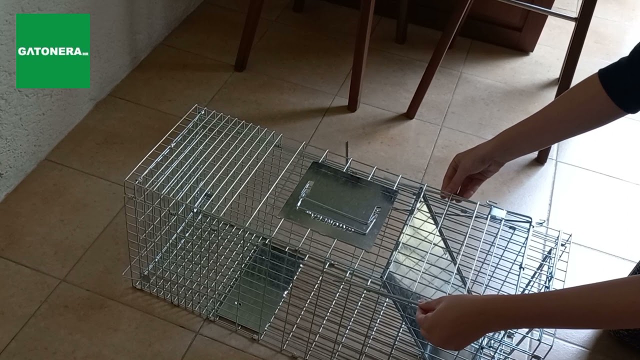 Trampa GATONERA P7930 (para gato, tlacuache, zorrillo, etc)