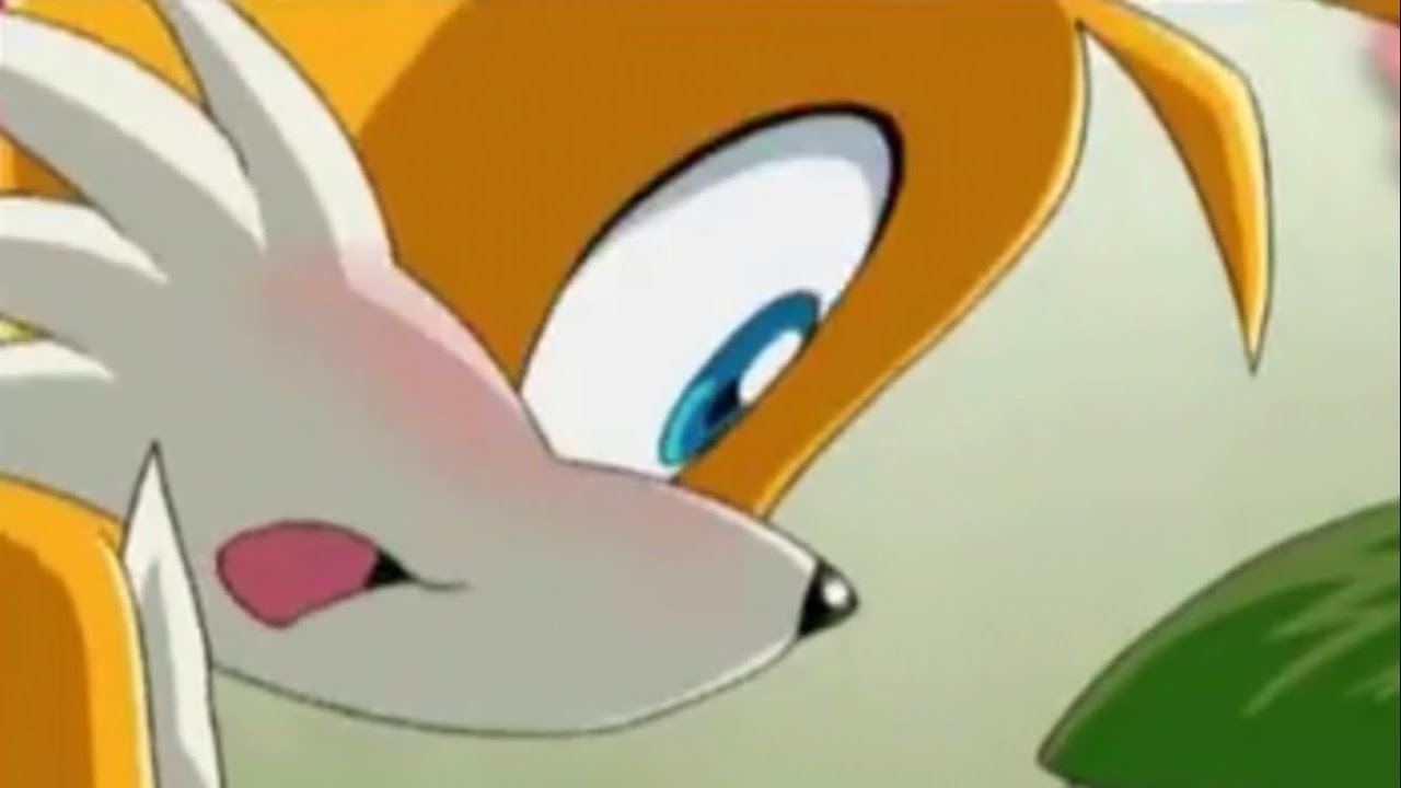 Tails the Fox Blushing Compilation