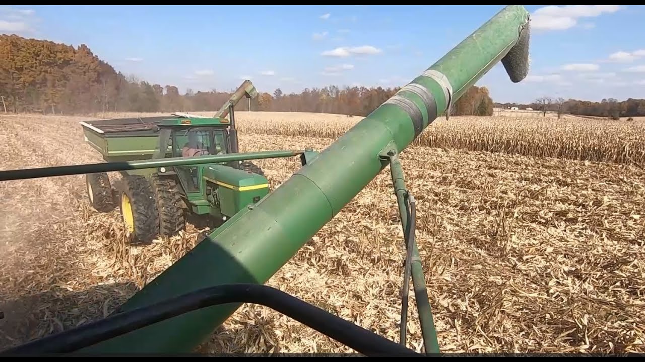 Corn Harvest 2023 Part 2
