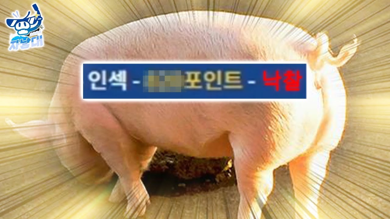 나를 비싸게 산다면 반드시 후회할 것이다